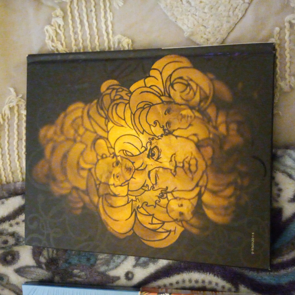 Brandon Boyd Book Bundle - Picture 9 of 9